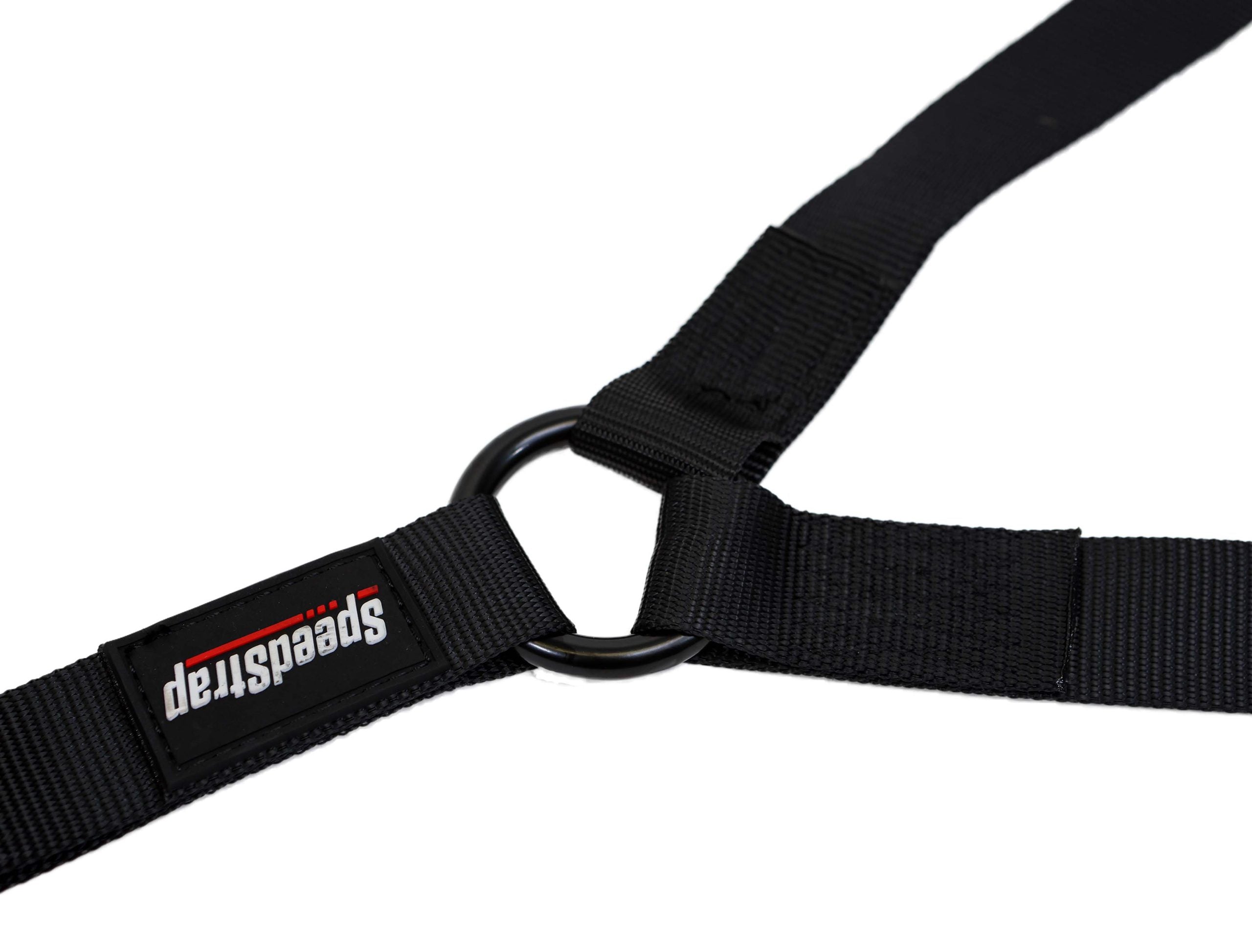 1.5" 3-Point Spare Tire Tie-Down with Swivel Hooks - SpeedStrap
