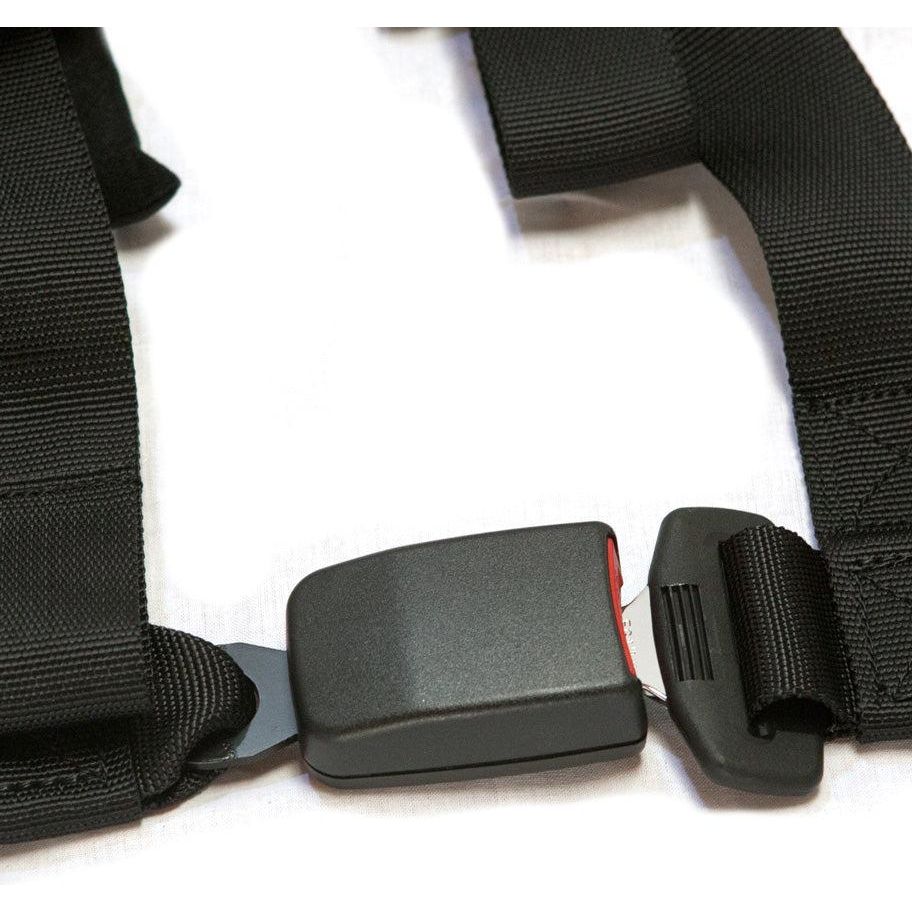 4.2 Harness (New Glory)