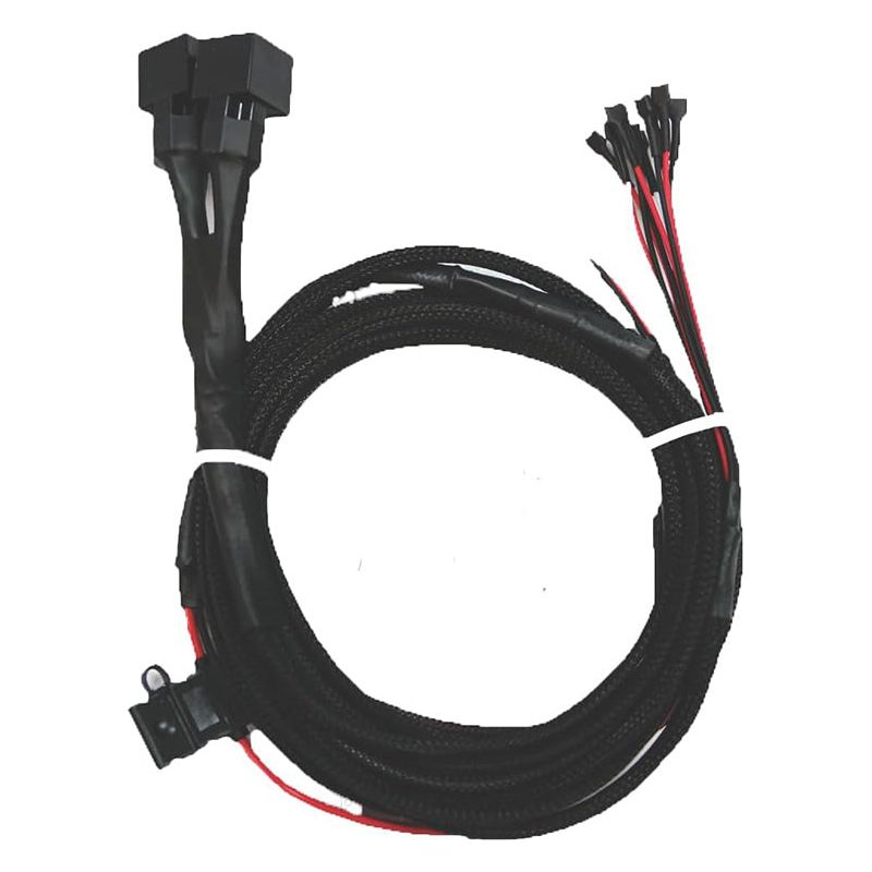 Light Wire Harness