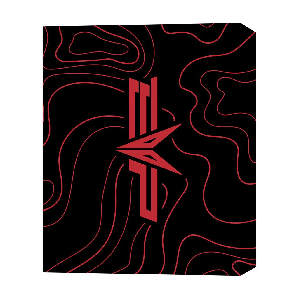 Polaris RZR Pro R OEM Roof Liner