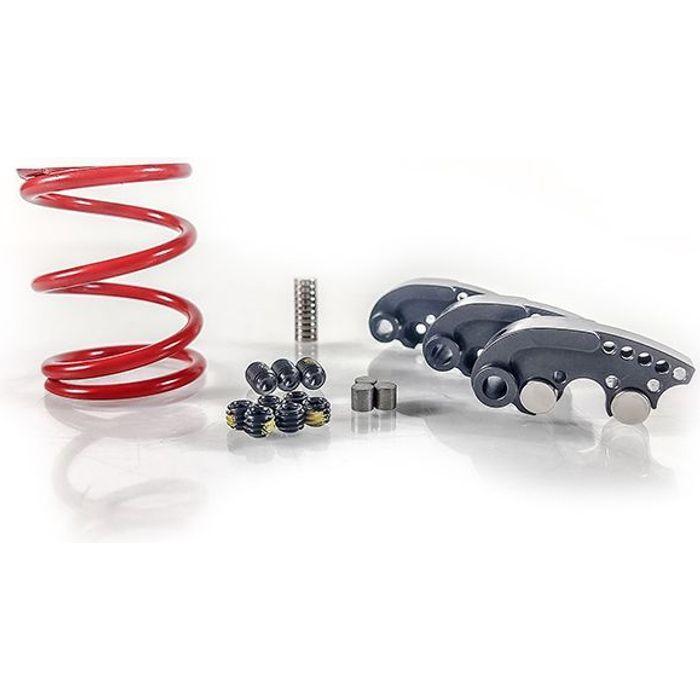 Polaris General / RZR Stage 1 SNYPR Clutch Kit