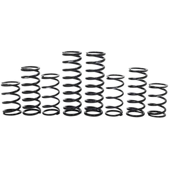 Polaris RZR Turbo R 4 Dynamics Stage 1 Spring Kit