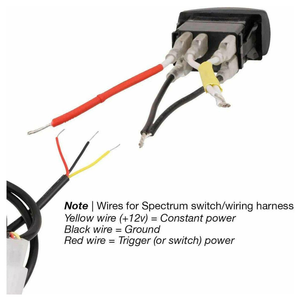 Spectrum Rocker Switch