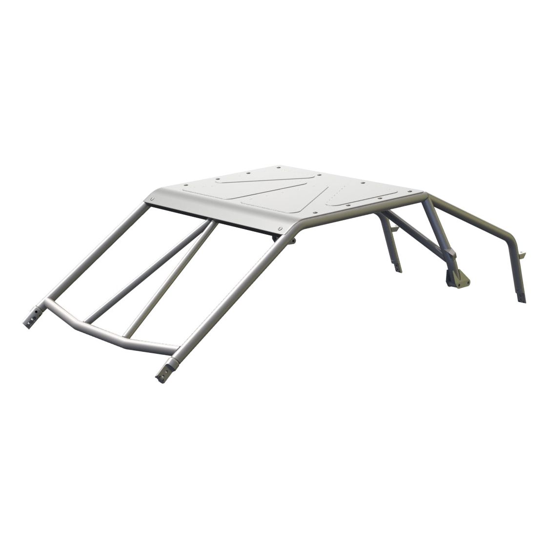 Polaris RZR Pro XP Raw Assembled Baja Spec Cage with Roof