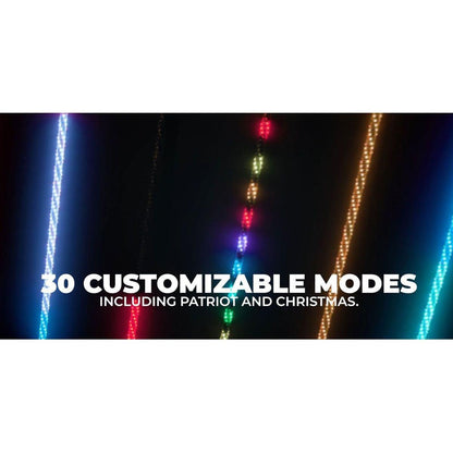 Extreme 4 FT Whips (Pair) + Controller