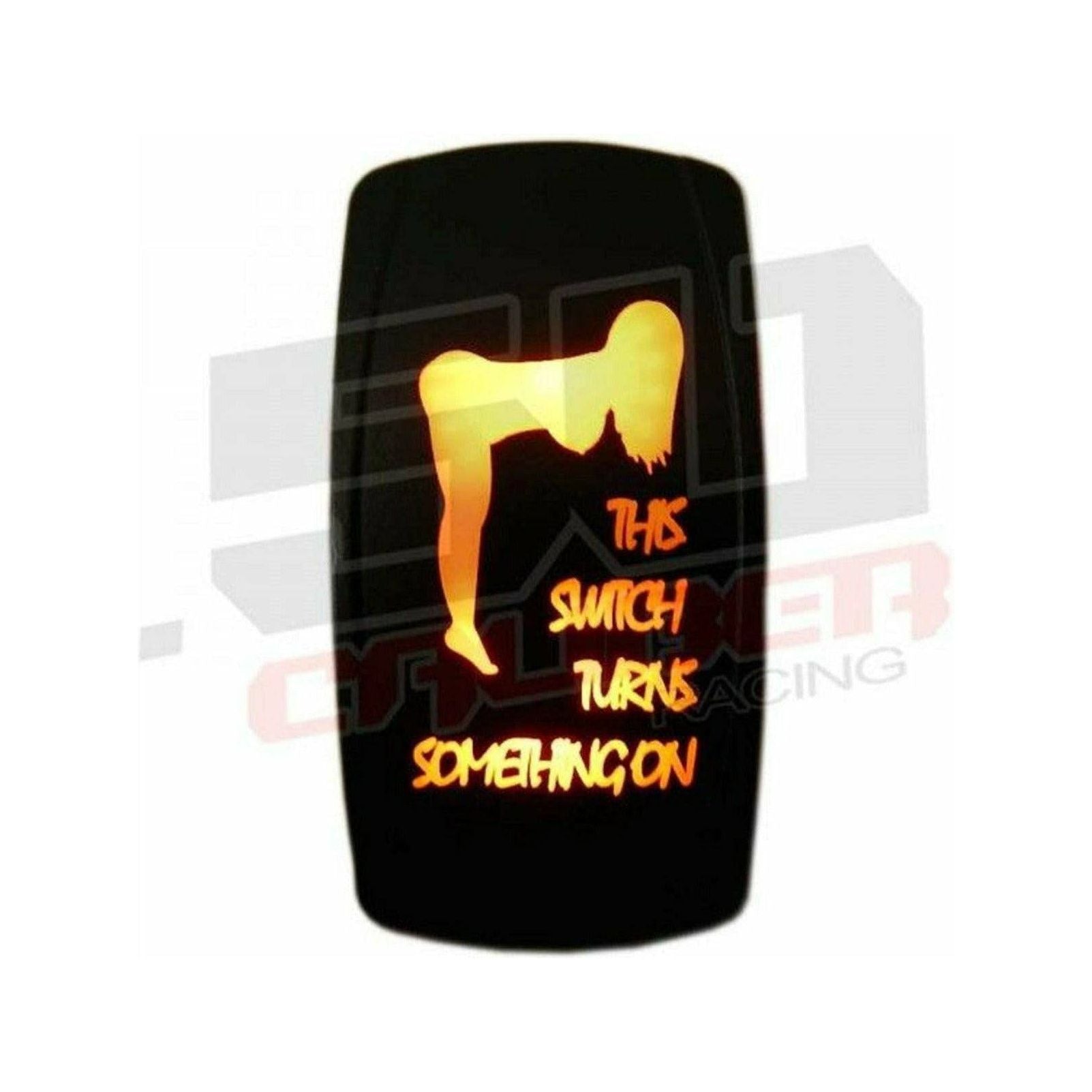 "This Switch Turns Something On" Waterproof Rocker Switch