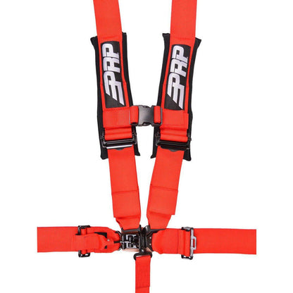 5.3 Harness