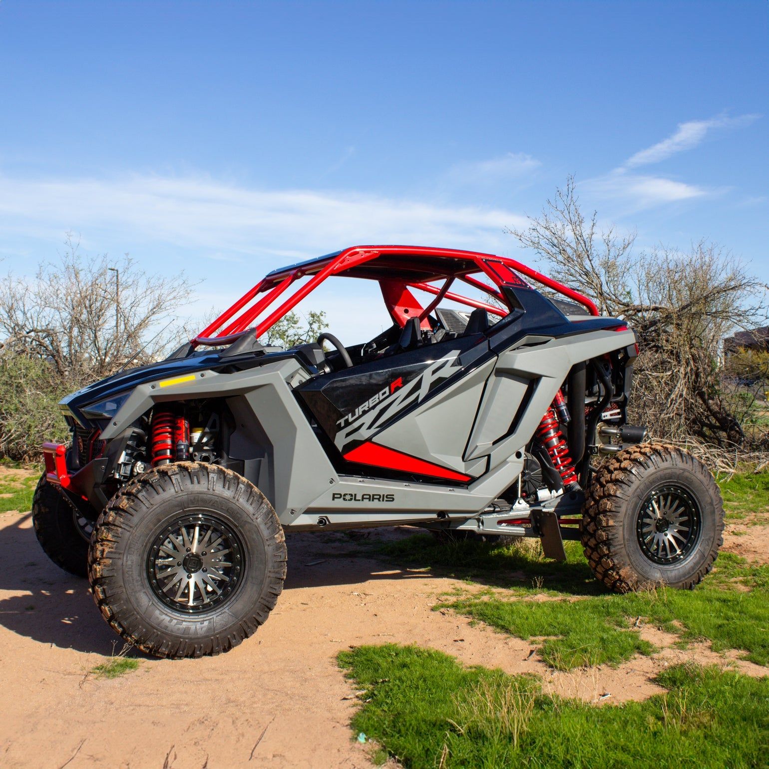 Polaris RZR Turbo R Raw Shorty Cage