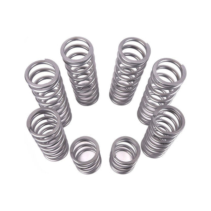 Polaris RZR Pro R Dual Rate Spring Kit