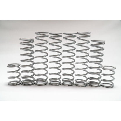 Polaris RZR Pro R Dual Rate Spring Kit