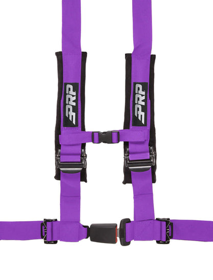 4.2 Harness, Black