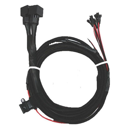 Light Wire Harness
