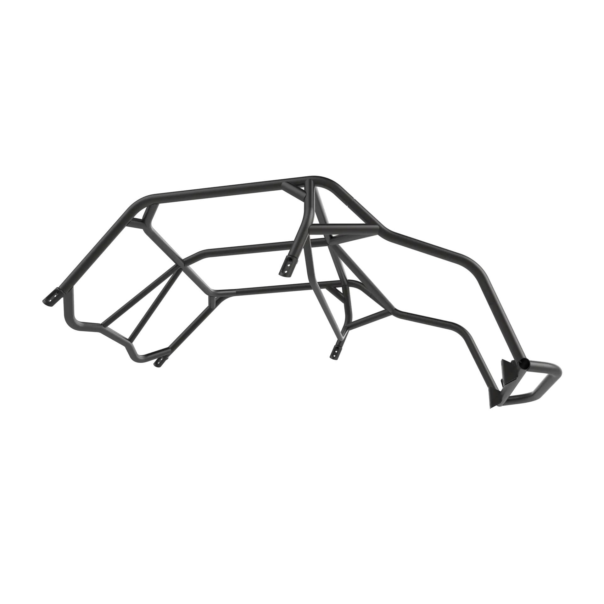 LSK Talon (2 Seat) Radius Cage - Image 5