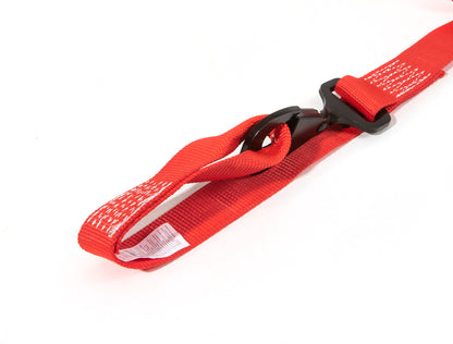 1.5" x 10' Ratchet Tie-Down w/ Soft-Tie (2 Pack) - SpeedStrap