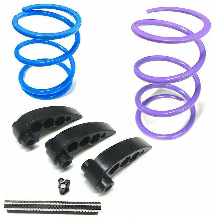 Polaris RZR RS1 Stage 2 Clutch Kit