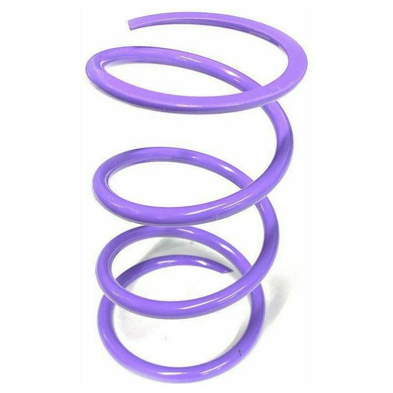 Polaris RZR Turbo Secondary Springs