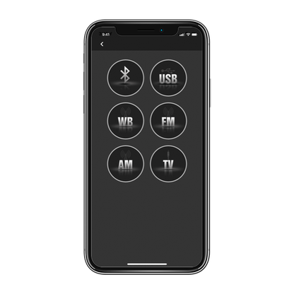 Can Am Defender Complete Audio Roof System