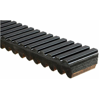 Polaris RZR XP 900 G Force C12 Drive Belt