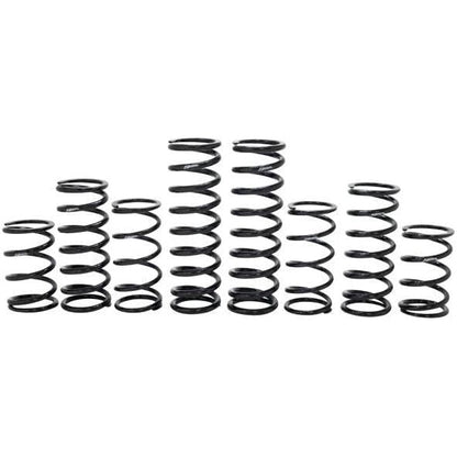 Polaris RZR Turbo R 4 Dynamics Stage 1 Spring Kit